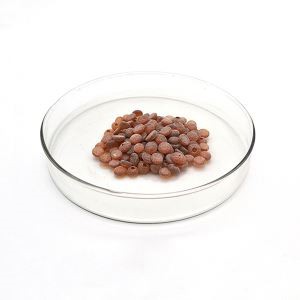 Antioxidant Antioxidant TMQ 26780-96-1