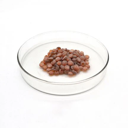 TMQ Antioxidant TMQ
